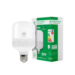 Bóng đèn LED BULB 30W